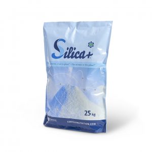 SILICA-Sand